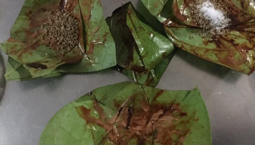 घरेलू नुस्ख़ा !!!!!  खाँसी मे लाभदायक !!!!!नमक अजवाइन का पान !!!