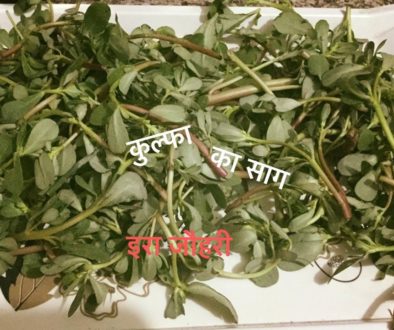 कुल्फा का साग