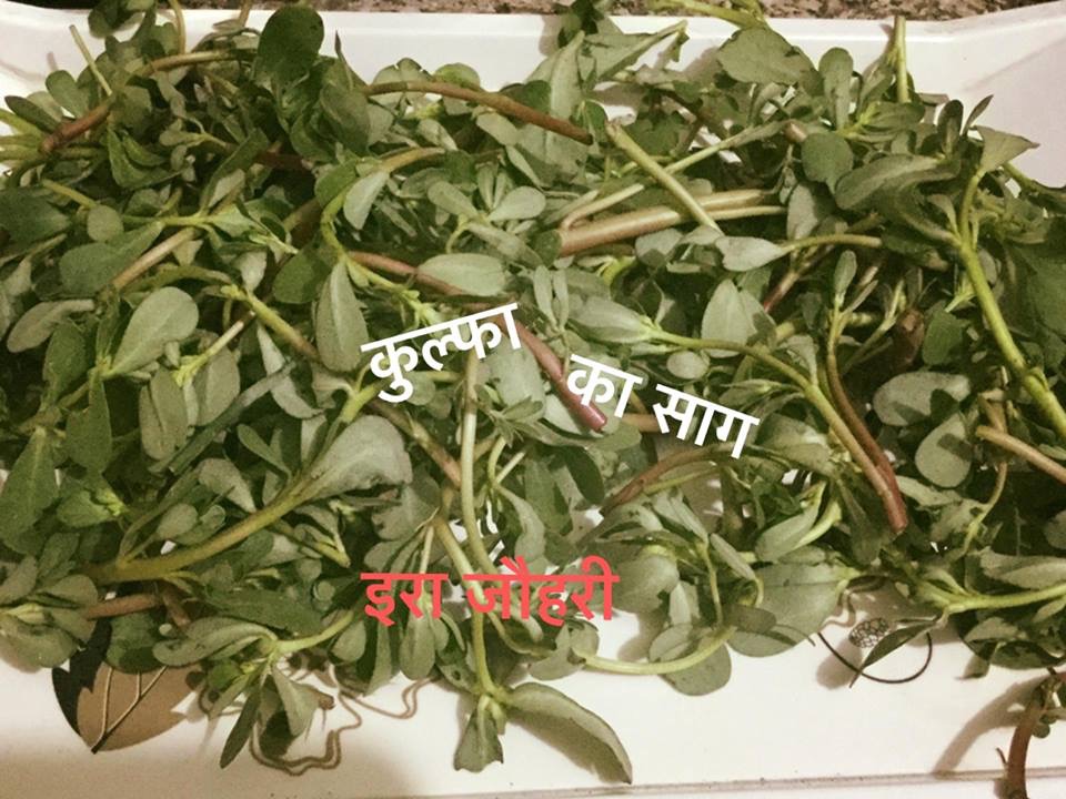 कुल्फा का साग