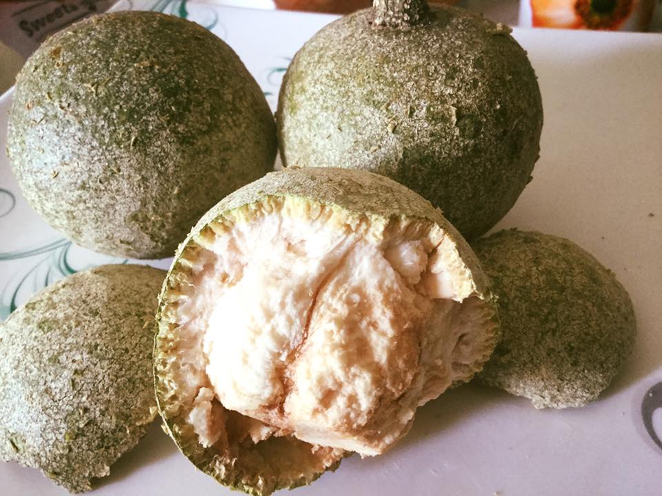 कैथा  !!!एक रोचक जानकारी