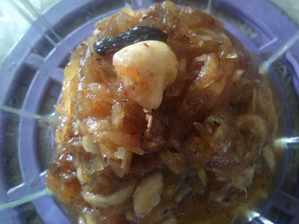 आम की सालभर चलनें वाली नवरत्नी  बादशाही चटनी