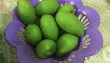 आम व कटहल का गन्ने के सिरके वाला अचार