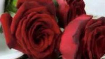 गुलाब का शर्बत