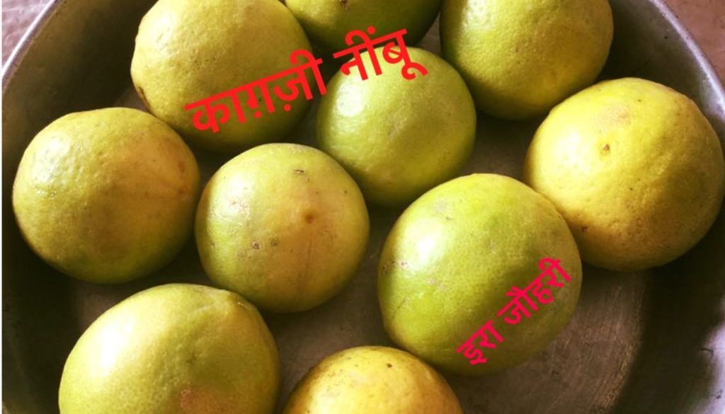 नीबू का अचार !!! खट्टा मीठा और हाजमेवाला