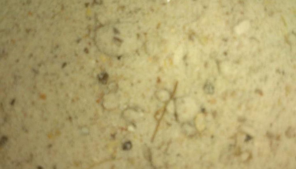 बारह मसालों का नमक !!!