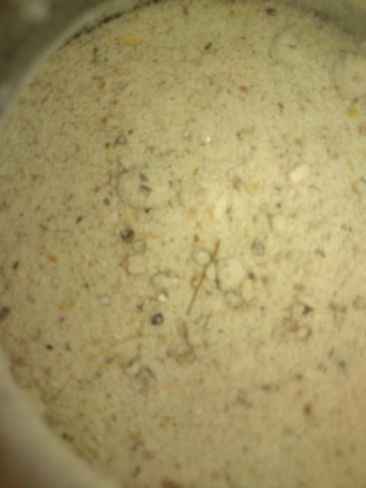 बारह मसालों का नमक !!!