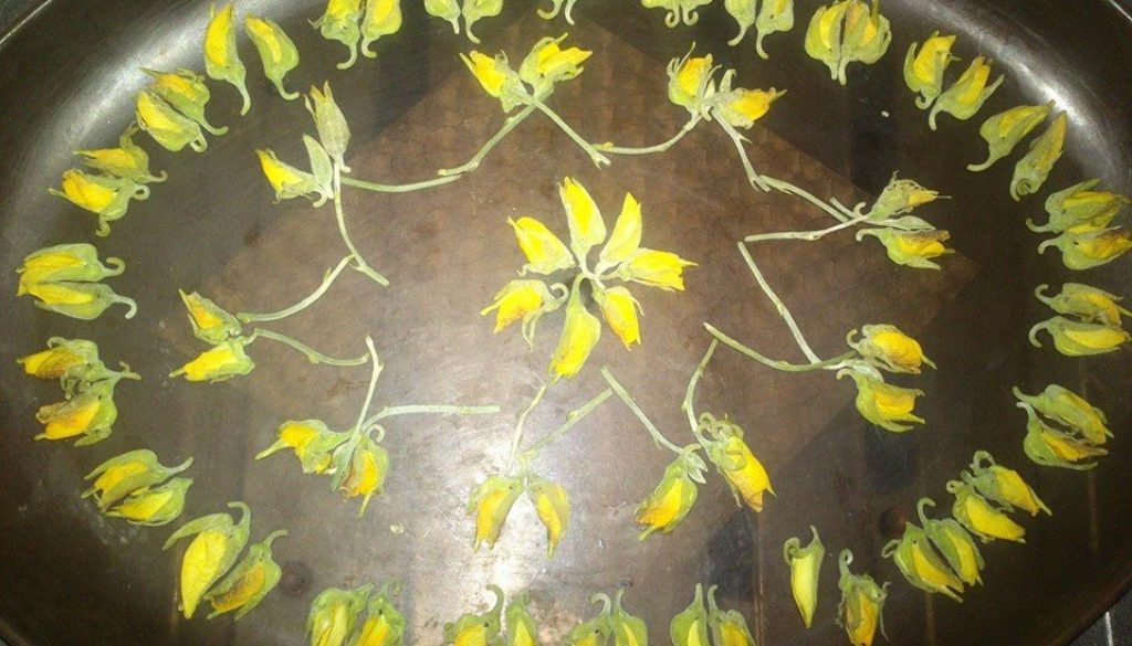 सनई के फूलो से सज्जा !!!