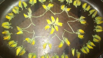 सनई के फूलो से सज्जा !!!