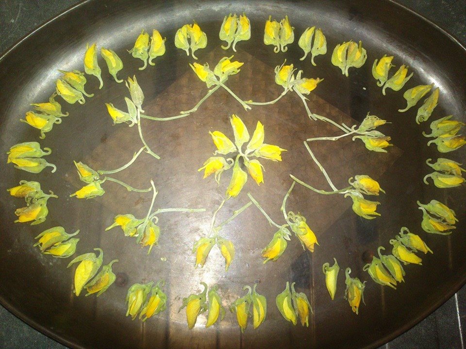 सनई के फूलो से सज्जा !!!