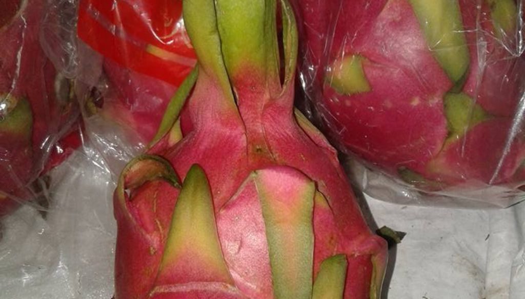 ड्रैगन फल !!!!!