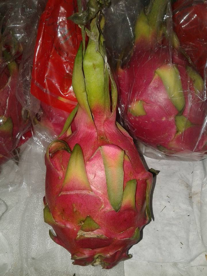 ड्रैगन फल !!!!!