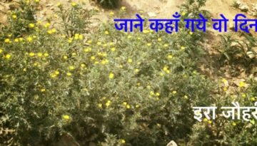 जानें कहाँ गये वो दिन !!!!!!!! पाँचवाँ भाग।