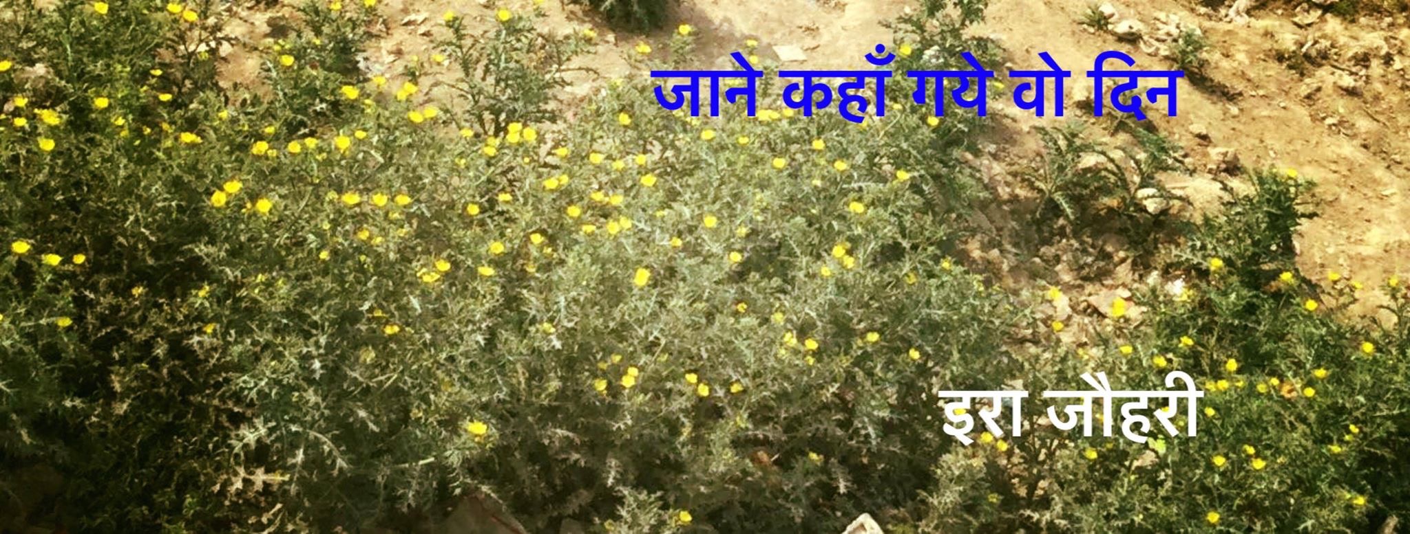 जानें कहाँ गये वो दिन !!!!!!!! पाँचवाँ भाग।