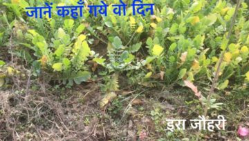 जानें कहाँ गये वो दिन !!!!! दूसरा भाग