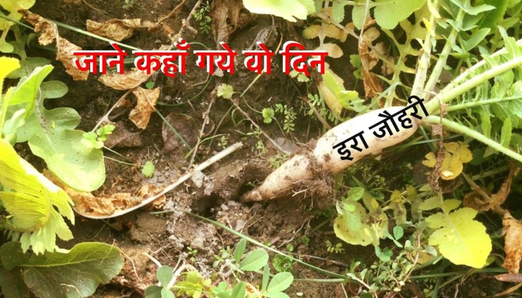 जानें कहाँ गये वो दिन !!!!!! चौथा भाग