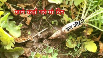 जानें कहाँ गये वो दिन !!!!!! चौथा भाग