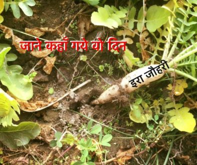 जानें कहाँ गये वो दिन !!!!!! चौथा भाग