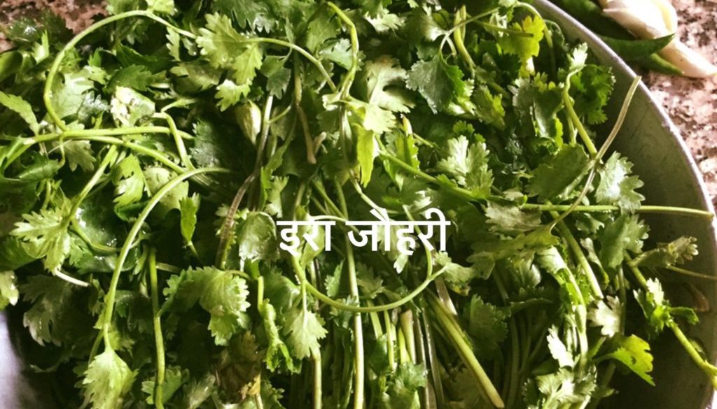 हरी धनिया ,लहसुन , हरीमिर्च !!!!