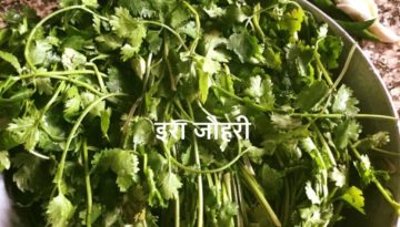 हरी धनिया ,लहसुन , हरीमिर्च !!!!