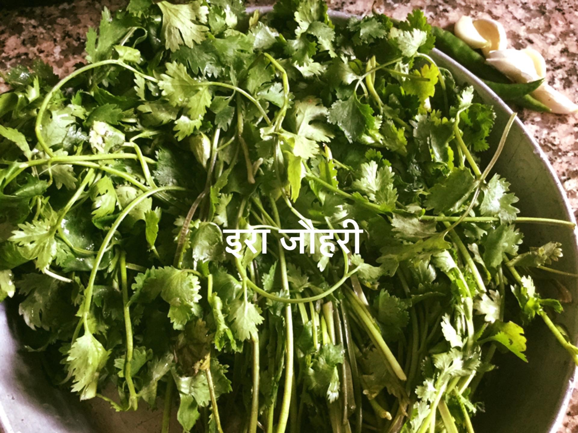 हरी धनिया ,लहसुन , हरीमिर्च !!!!