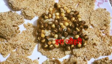 सफेद तिल और भुने चने की पापड़ी पट्टी!!!