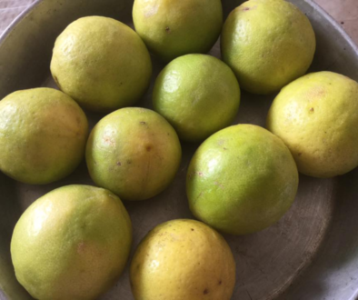 नींबू की मीठी चटनी !!!!!