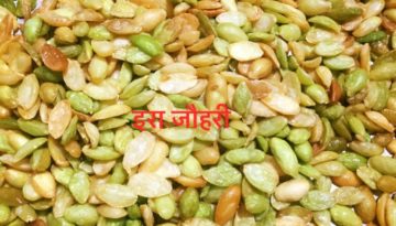 नमकीन सेम के बीज