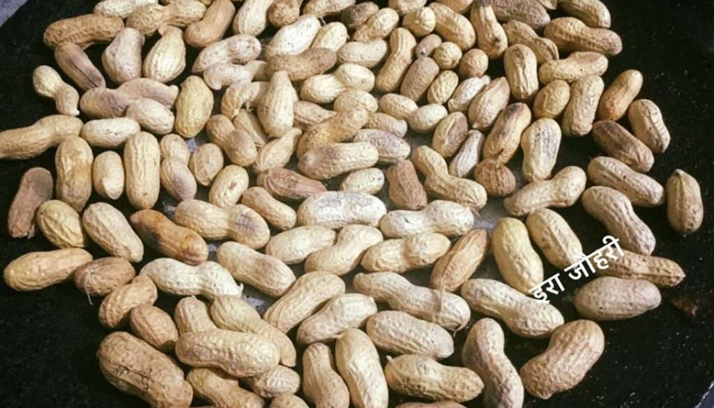 मूँगफली !!